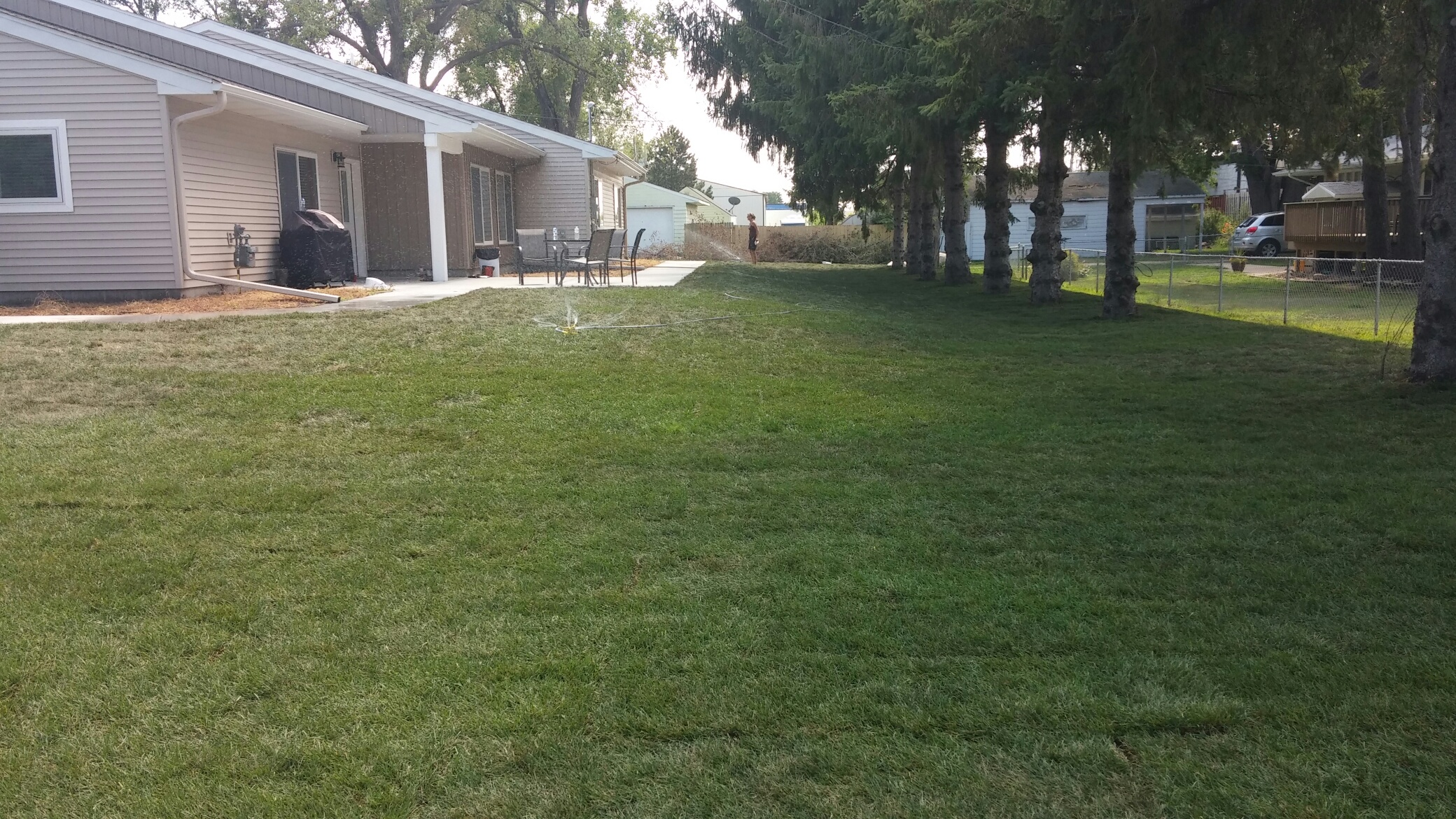New Sod at Eric's House